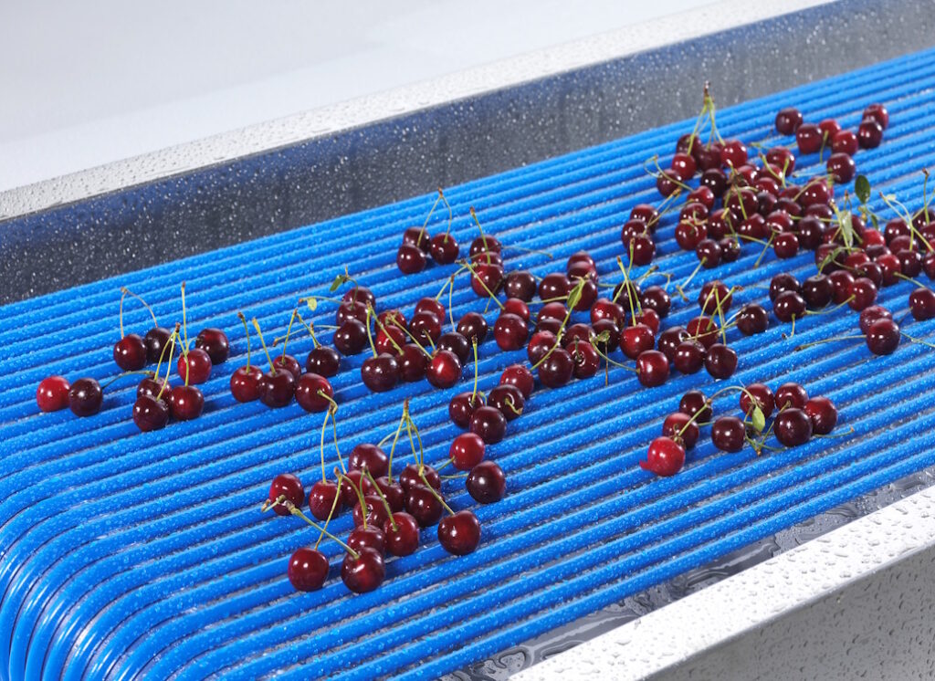 cherries_washing_and_sorting_belts_fruit_vegetables_thumb